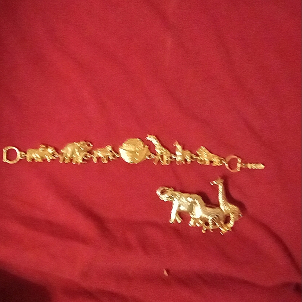 Premier jewelry Noah's ark bracelet and pin